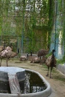 Gulab Bagh and Zoo